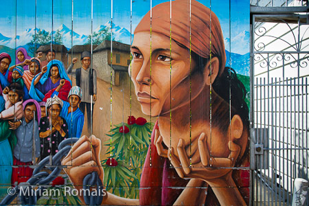 A Struggle for Freedom, 2011 