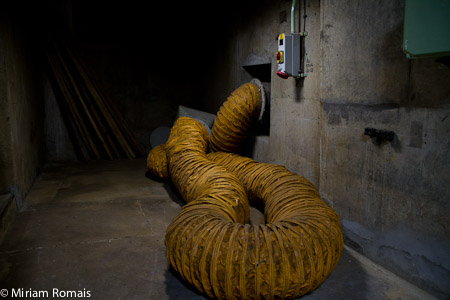 untitled, 2010